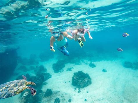 Snorkeling at Magic Sands Beach: A Close Encounter with Marine Life